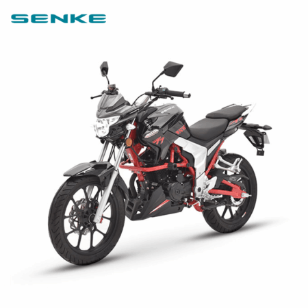MOTOCYCLE SENKE RAPTOR