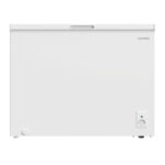 CONGÉLATEUR HORIZONTAL NEWSTAR 300L