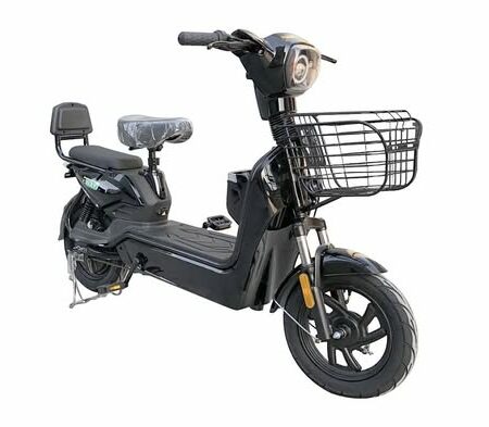SCOOTER ÉLECTRIQUE EWAY RIDE
